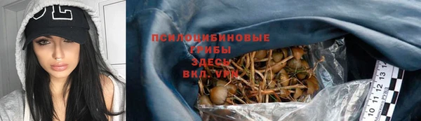 ПСИЛОЦИБИНОВЫЕ ГРИБЫ Баксан