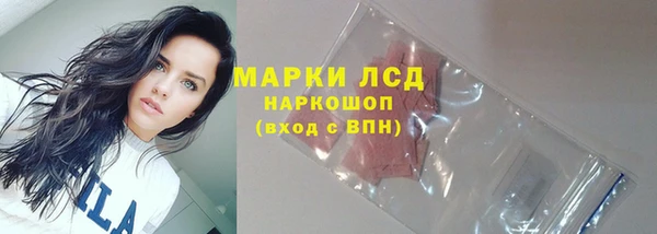 ПСИЛОЦИБИНОВЫЕ ГРИБЫ Баксан