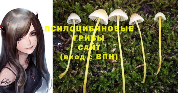 гашик Балабаново