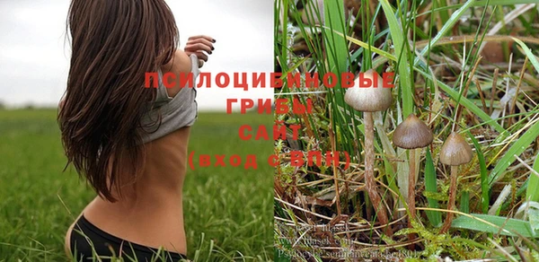 ПСИЛОЦИБИНОВЫЕ ГРИБЫ Баксан