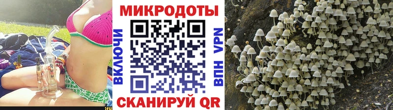 Псилоцибиновые грибы мицелий  где найти   Белозерск 